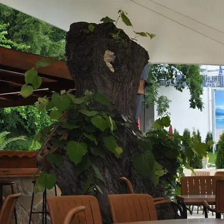 فندق Bsa Gradina & Aquapark غولدن ساندز